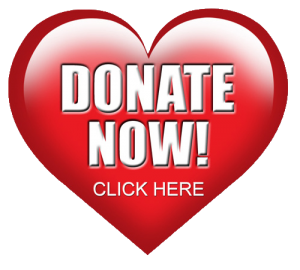 Donate Now - Saving a Heart on Valentine's Day Donate Now - Saving a Heart on Valentine's Day
