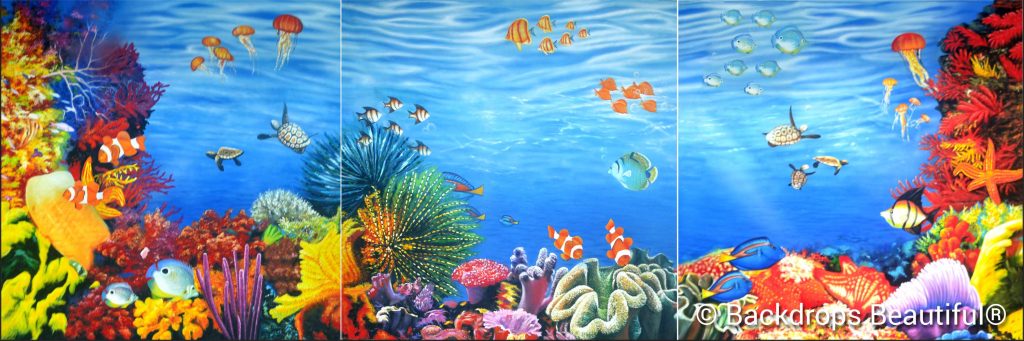 coral reef - November Backdrop Coral Reef Panel - November New Backdrop