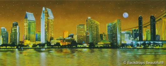 Stunning Skyline - San Diego By Night 4 Stunning Skyline - San Diego By Night 4
