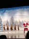 Winter Wonderland Recital