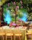 Bat Mitzvah Celebration