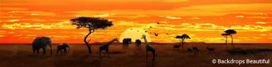 Backdrops: African Savannah 3