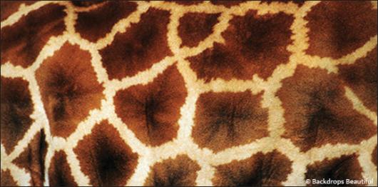 Backdrops: Skin Giraffe 1