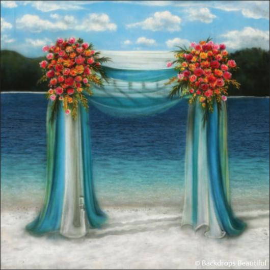 Backdrops: Wedding Canopy 1