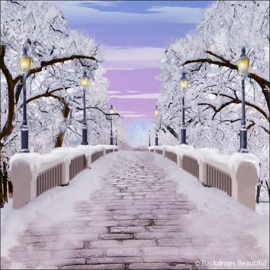 Backdrops: Walk in the Park Winter 2