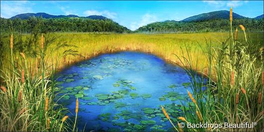 Backdrops: Pond 4 Lillies