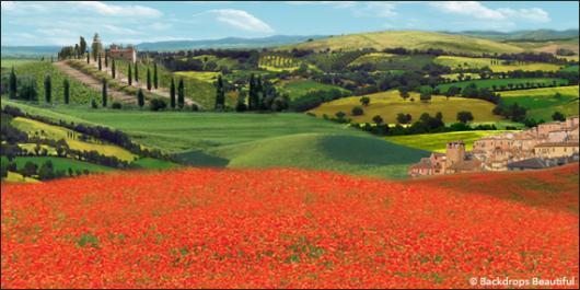 Backdrops: Tuscany 1B