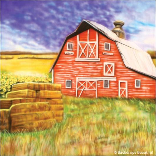 Backdrops: Farm House 4