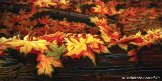 Backdrops: Fall Leaves 2