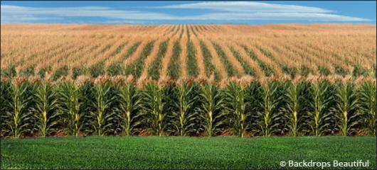 Backdrops: Field of Dreams 1