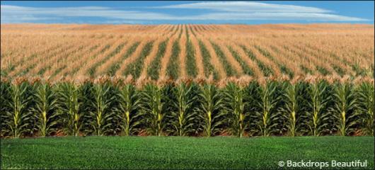 Backdrops: Field of Dreams 2B