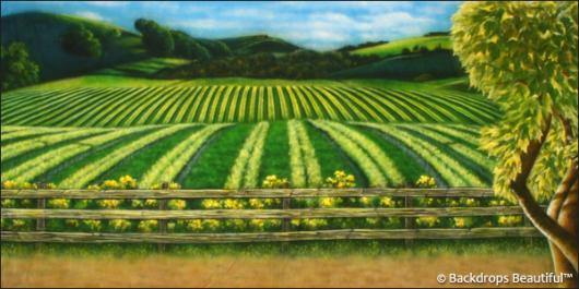 Backdrops: Vineyard 1A