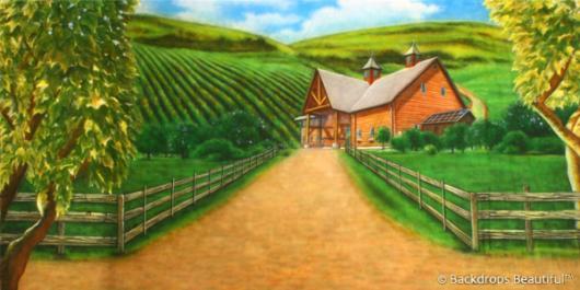 Backdrops: Vineyard 1B