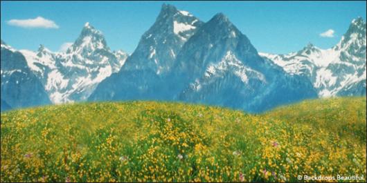 Backdrops: Aspen Mountains  4B