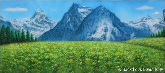 Backdrops: Aspen Mountains  5