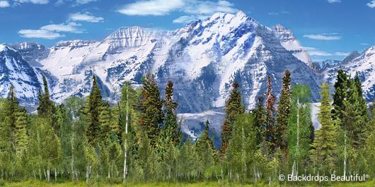 Backdrops: Aspen Mountains 10