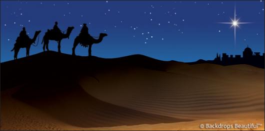 Backdrops: Nativity Scene 1B