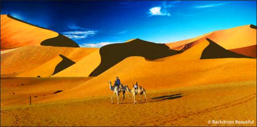 Backdrops: Desert Camel 1