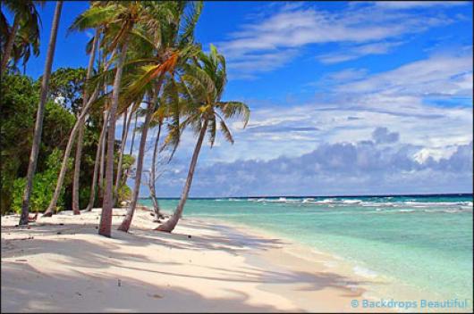 Backdrops: Tropical Beach  6