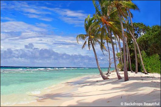 Backdrops: Tropical Beach  7