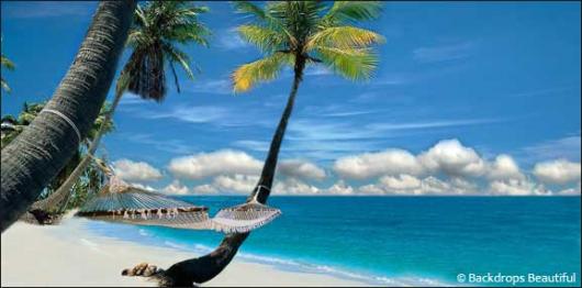 Backdrops: Beach Hammock