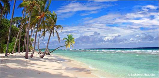 Backdrops: Tropical Beach  3