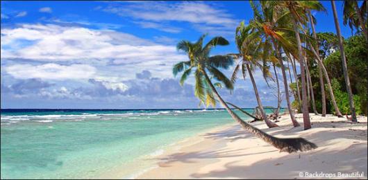 Backdrops: Tropical Beach  4