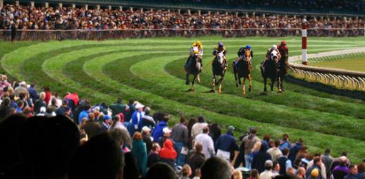 Backdrops: Horse Racing 1