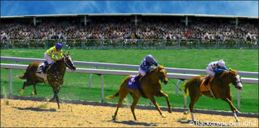 Backdrops: Horse Racing 2