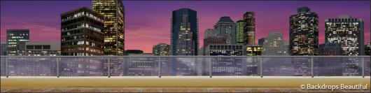 Backdrops: City Skyline  8 Night