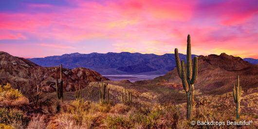 Backdrops: Desert Sunset 4