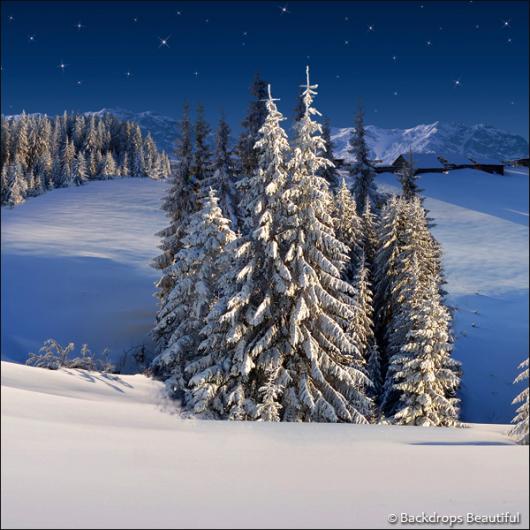 Backdrops: Winter Wonderland 6A (Vinyl)