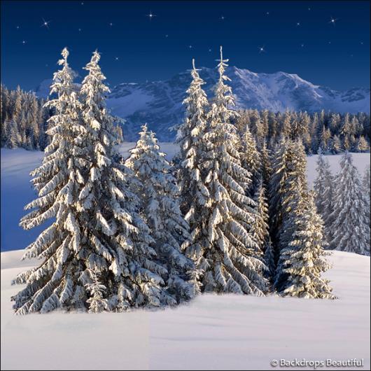 Backdrops: Winter Wonderland 6G (Vinyl)