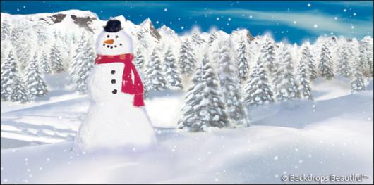 Backdrops: Snowman 4