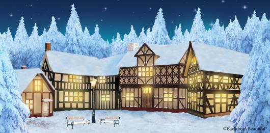 Backdrops: Winter Village 8B Digital