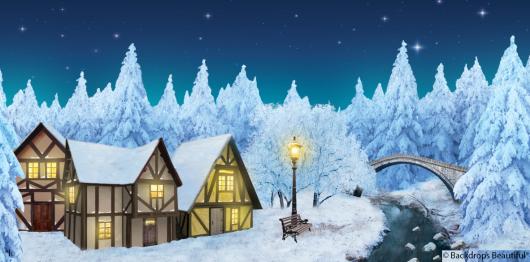 Backdrops: Winter Village 8D Bridge R Digital