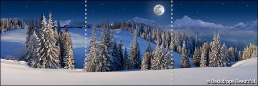 Backdrops: Winter Wonderland 6 Panel (Vinyl)