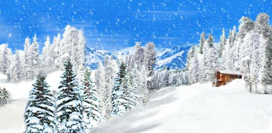 Backdrops: Winter Wonderland 5D