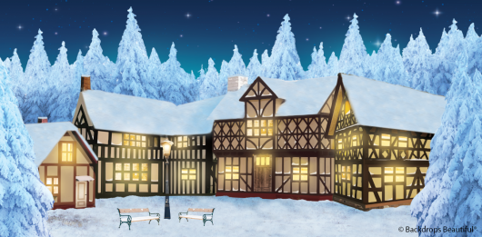 Backdrops: Winter Village 7B Digital